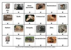 Domino-Tiere-1-B.pdf